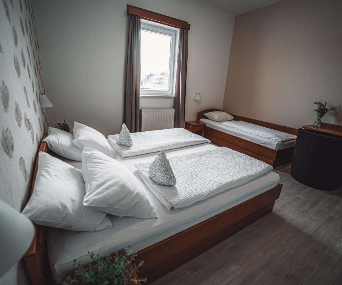 Triple room Hotel Bajt Maribor view